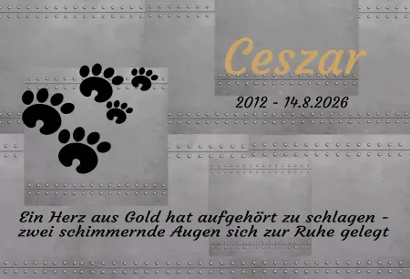 Gedenkstein, Grabstein, Gedenkkreuz, Grabschmuck Gedenktafel Ceszar Bild