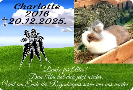 Gedenkstein, Grabstein, Gedenkkreuz, Grabschmuck Gedenktafel Charlotte Bild