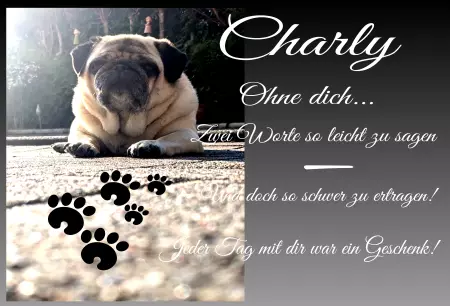 Gedenkstein, Grabstein, Gedenkkreuz, GrabschmuckGedenktafel Charly Bild