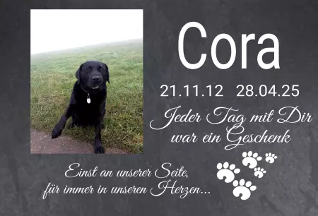 Gedenkstein, Grabstein, Gedenkkreuz, GrabschmuckGedenktafel Cora Bild