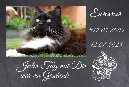 Gedenkstein, Grabstein, Gedenkkreuz, Grabschmuck Gedenktafel Emma Bild