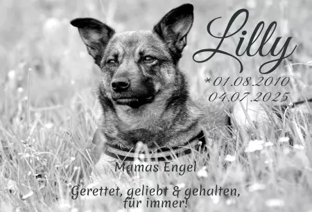 Gedenkstein, Grabstein, Gedenkkreuz, GrabschmuckGedenktafel Lilly Bild