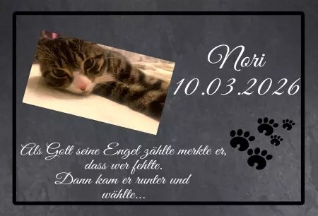 Gedenkstein, Grabstein, Gedenkkreuz, Grabschmuck Gedenktafel Nori Bild